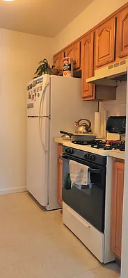 Rented by Virtual Real Estate | media 23