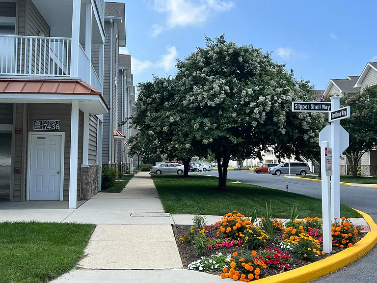 Beautiful landscaping and trees on the property
