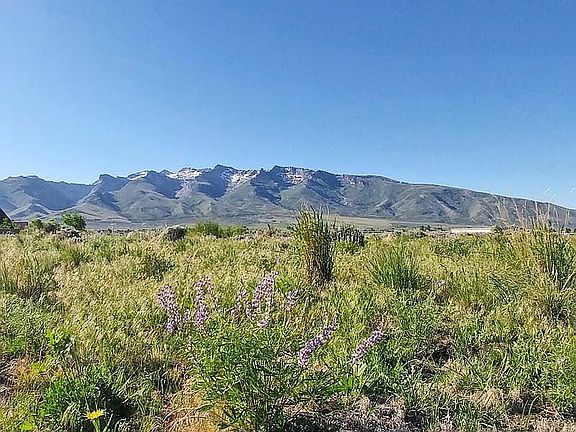 Land view
