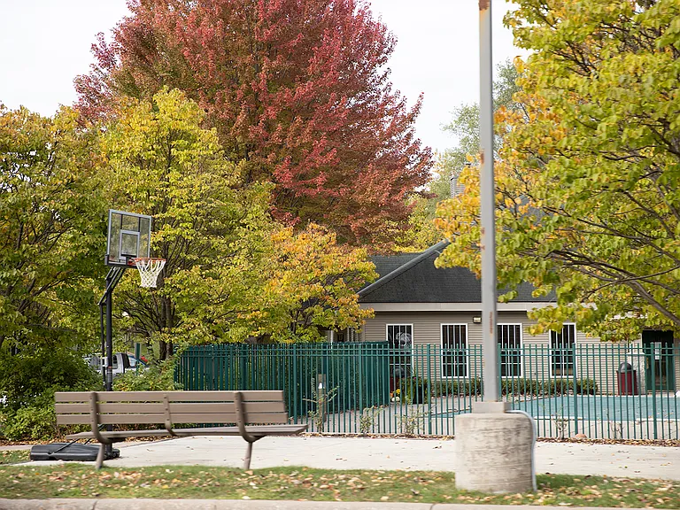 Basketball court