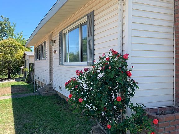 Front entrance and roses