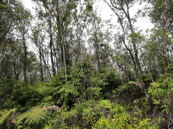 Kokokahi Rd Lot 65, Volcano, HI 96785
