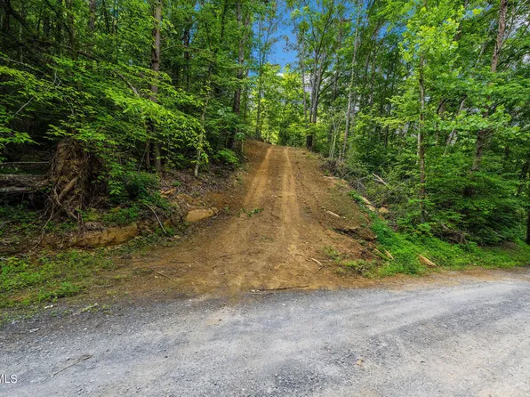 Tbd Longs Bend Rd, Rogersville, TN 37857