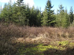 668 Oyler Rd, Ethel, WA 98542