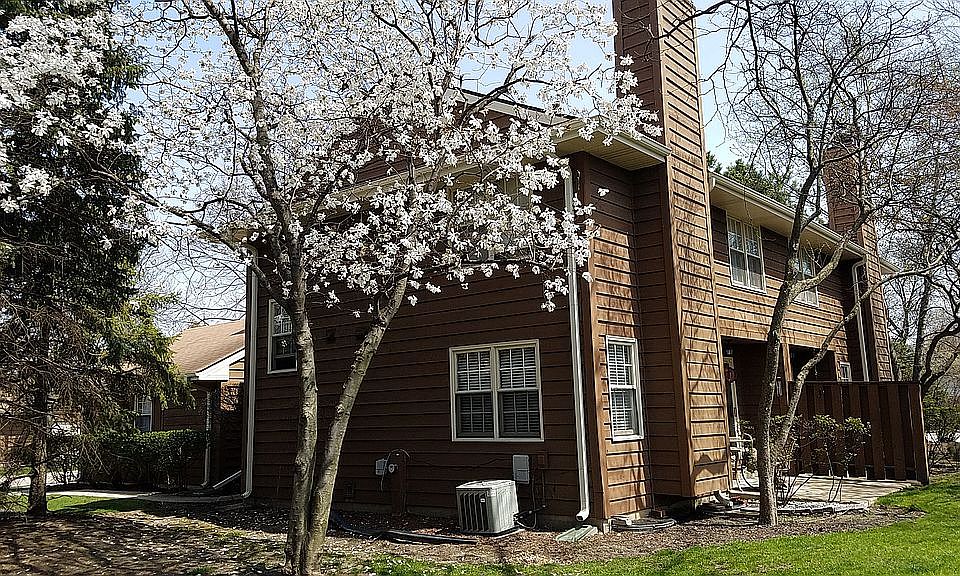 2nd image of 2803 Brindle Ct