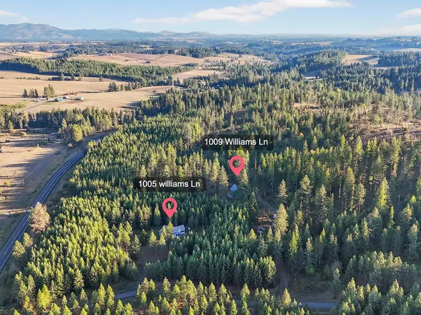 1005/1009 Williams Ln, Deary, ID 83823