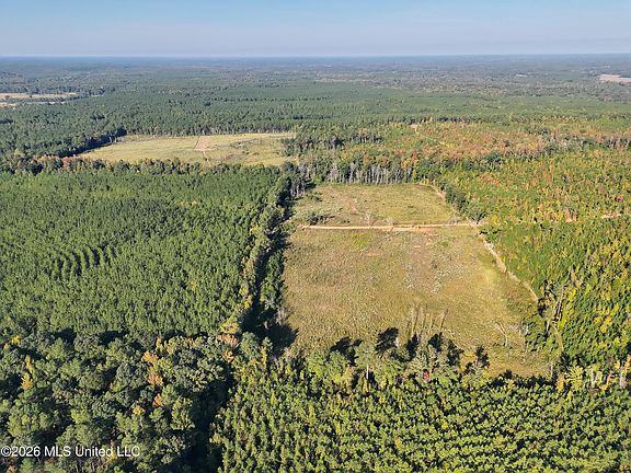 3rd image of Bluff Springs Rd