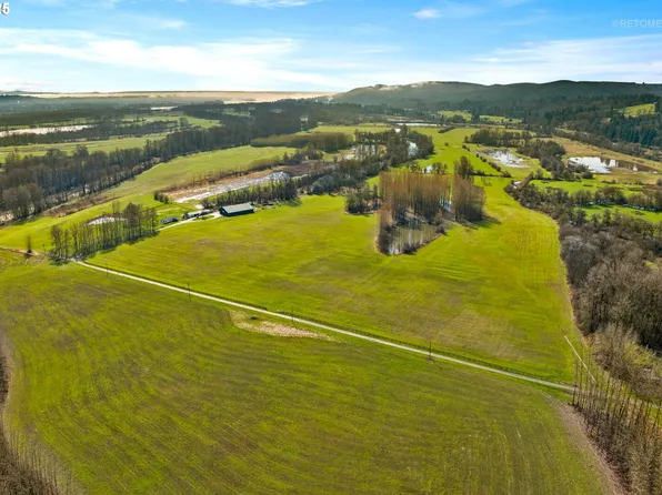 34521 Big Meadow Ln, Deer Island, OR 97054