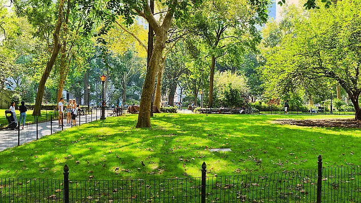 Rented by Blip LLC | media 31