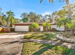 1201 Lake Valrico Ln, Valrico, FL 33594