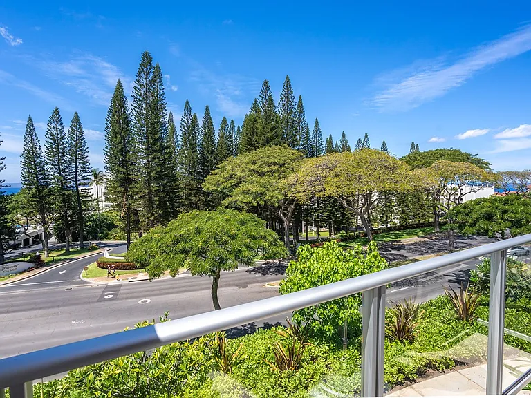 161 Holomoana Way #103-6C — Photo 39