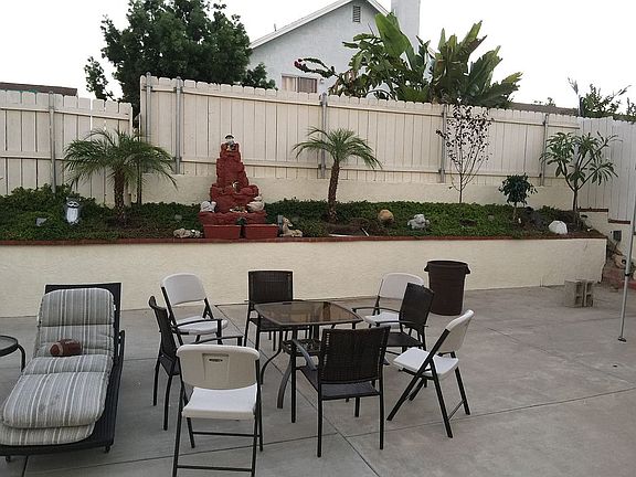 Back yard 