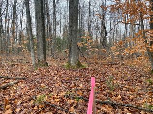 7535 Finnegan Rd, Johannesburg, MI 49751