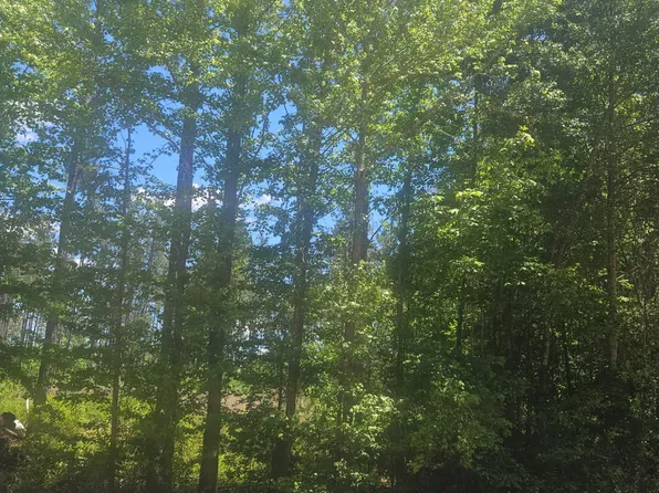 Lot 5 Ga Highway 123, Mitchell, GA 30820