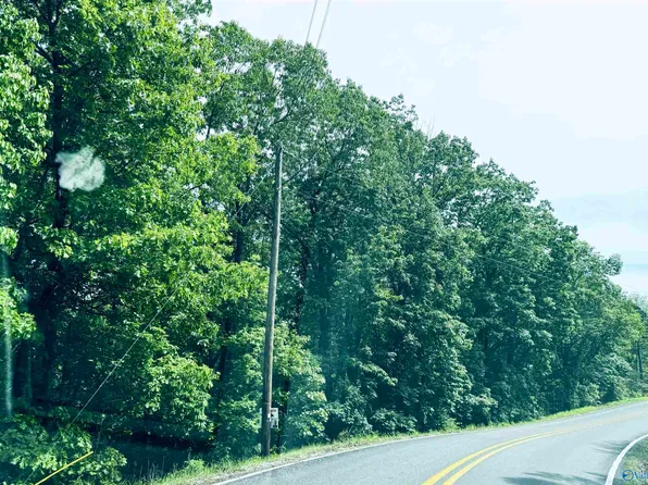 3385 County Road 70, Leesburg, AL 35983