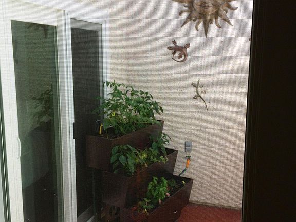 atrium to den (3 br)