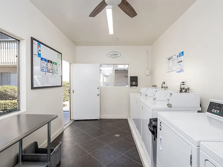 Olive Tree Manor — Photo 19