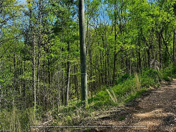 3rd image of 000-000 Big Rock Lane 8 9 And #10