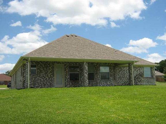 back yard (close up)