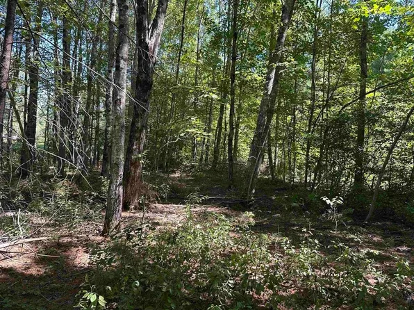 12 Baxter Place, Alton, NH 03809