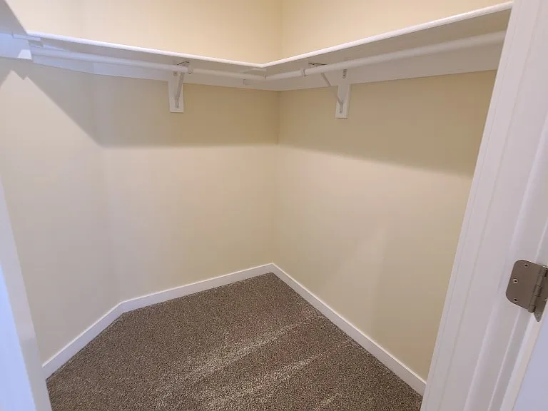 Master walk in closet