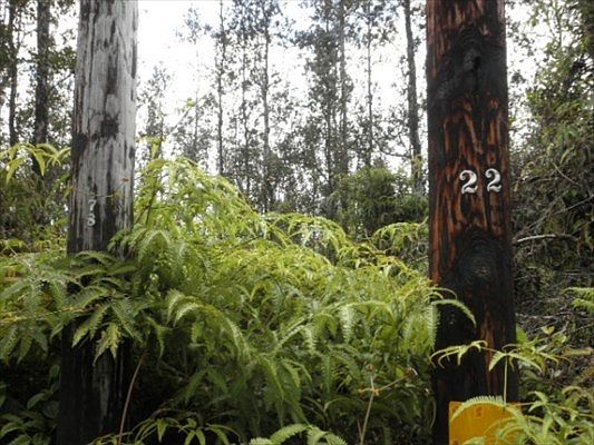 1st image of Road 5 Lot 3951