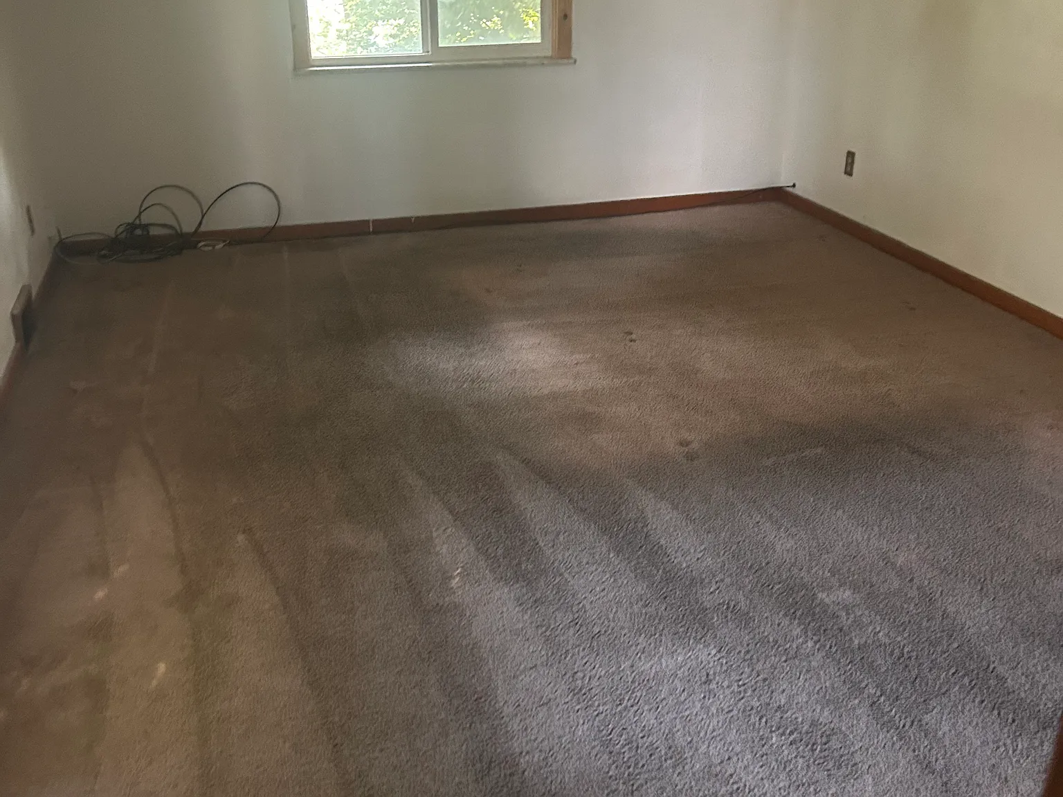 2 bed, 1000 sqft, $1,250 — Photo 2