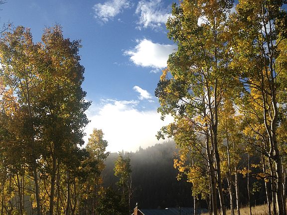 Enjoy the Aspens turning!