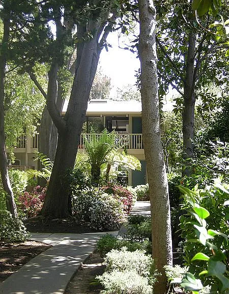 Del Monico Apartments — Photo 14