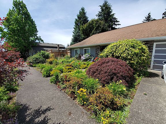 Front yard in July
