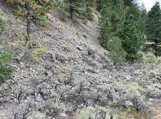 1577 Mears Ln, Salida, CO 81201