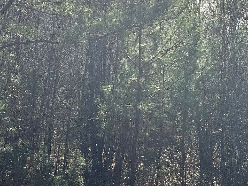2nd image of 13905 Brown Bridge Rd