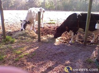 17544 Laura Lee Dr, Spring Hill, FL 34610