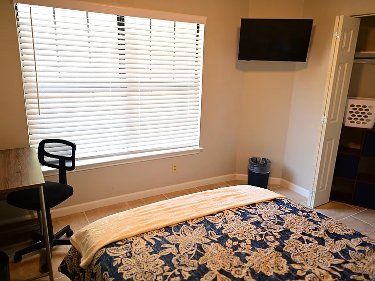 Beech Trail Dr — Photo 15