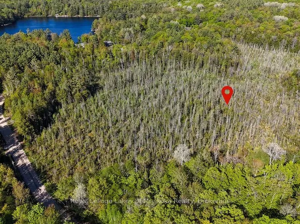 1356 Dickie Lake Rd, Lake Of Bays, ON P0B 1A0