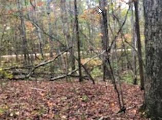 Holly Springs Rd, Toccoa, GA 30577