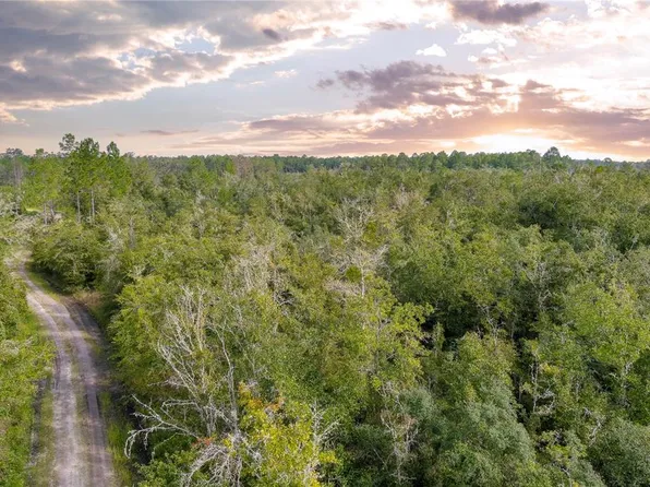 Highway 234, GAINESVILLE, FL 32641