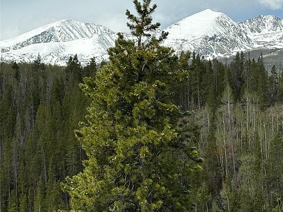 2nd image of 2542 Boreas Pass Road