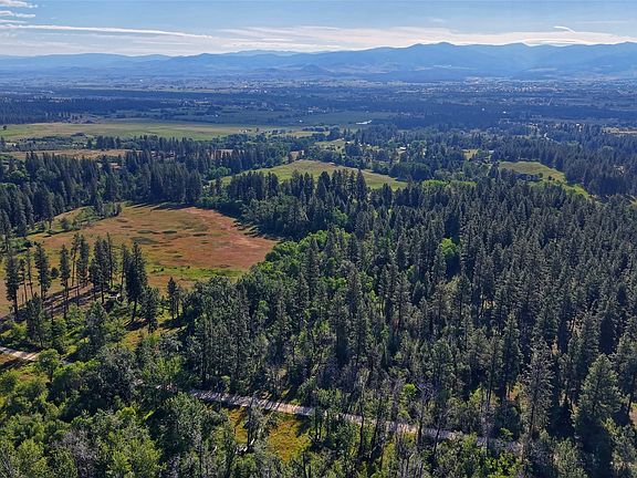 5th image of 648 Churn Creek Trl