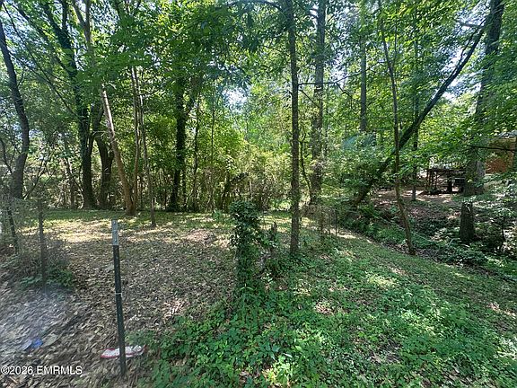 8th image of 4804 Hickory Hills Cir