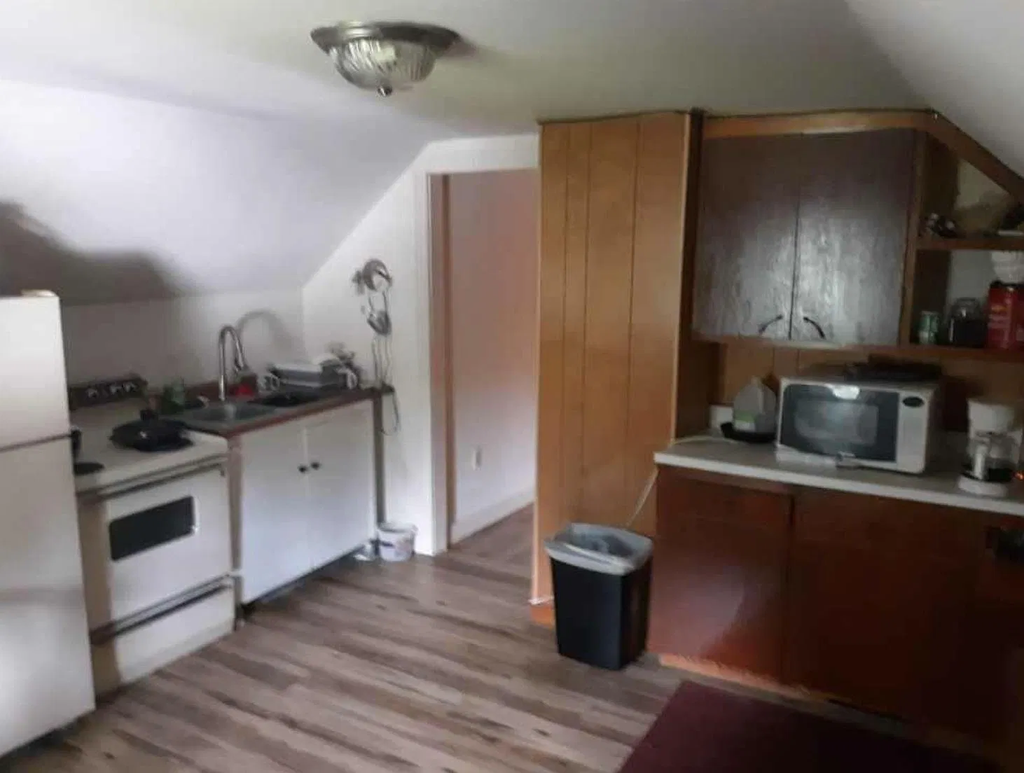 1 bed, 650 sqft, $800 — Photo 3
