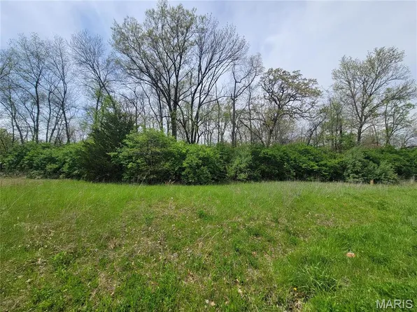 160 Widgeon Ln, Foley, MO 63347