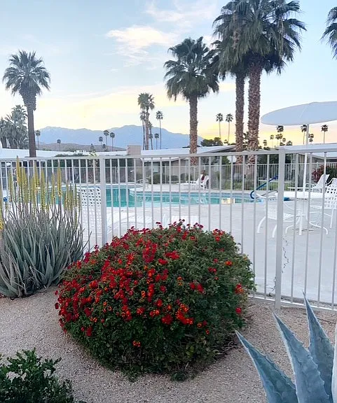 37800 Da Vall Dr #15 — Photo 21