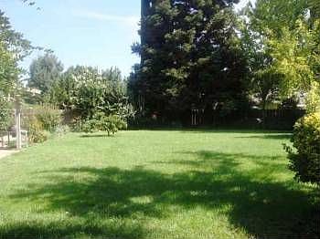 4th image of 731 Skylark Dr