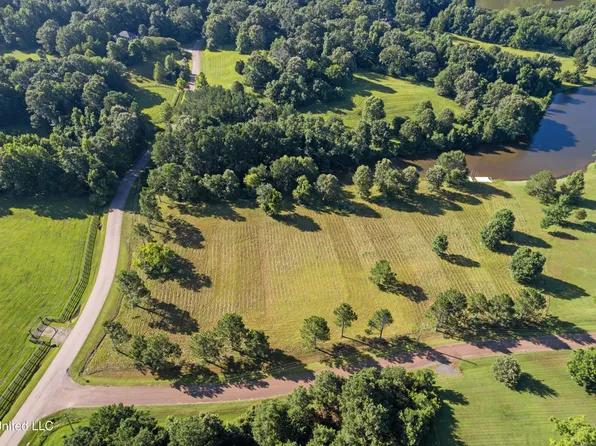 Lake Crest Pl, Flora, MS 39071