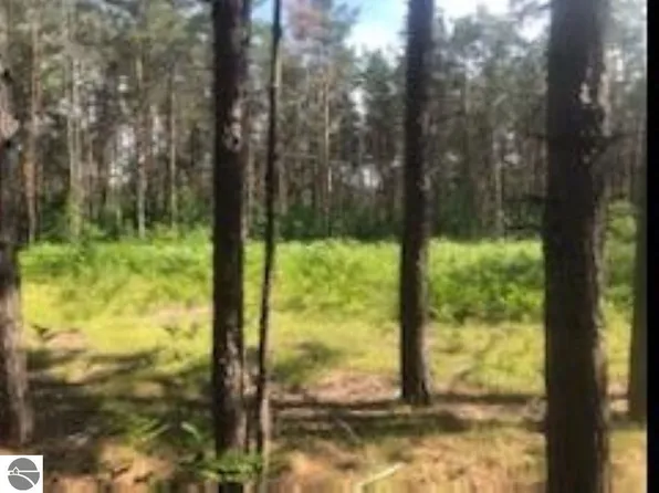 2567 Gunnys Way NE, Kalkaska, MI 49646