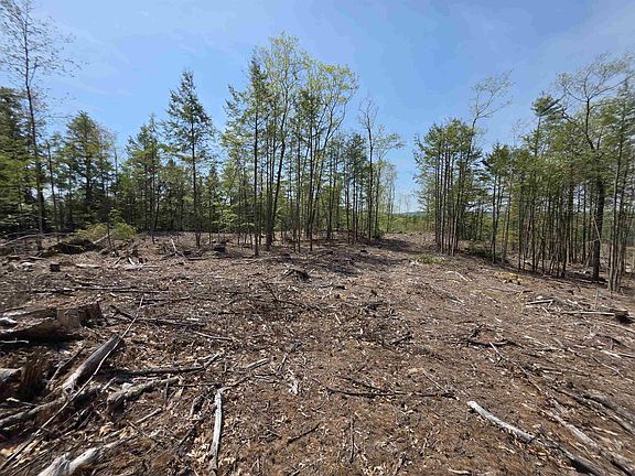 5th image of Map 417 Lot 51-1 Shannon Road