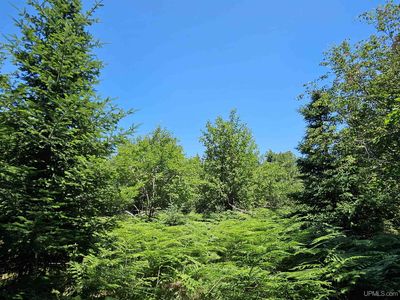 PARCEL M22 River Trails Rd, Houghton MI - Owner Finance Home