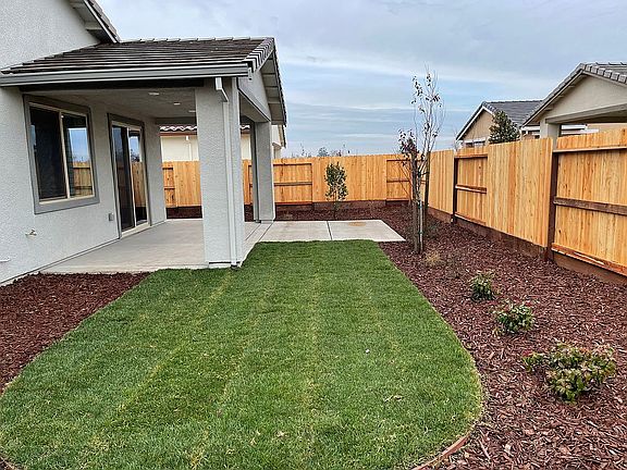 Backyard Lawn
