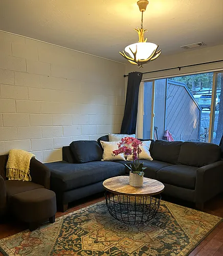 1410 Ski Run Blvd Photo 1